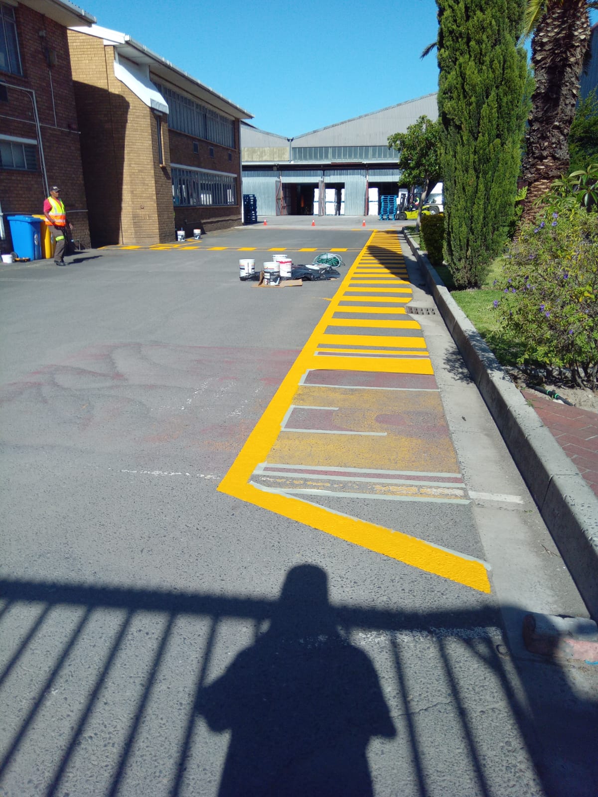 Fresh yellow line marking on asphalt driveway